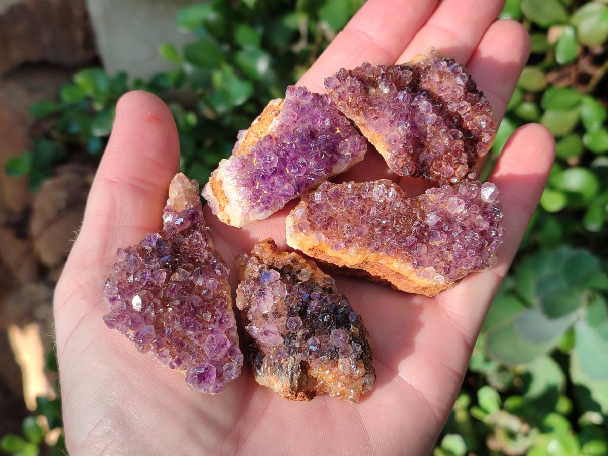 Natural Small Dark Purple Amethyst Crystal Plates x 35 From Boekenhouthoek, South Africa - Toprock Gemstones and Minerals 
