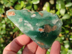 Polished One Side Mtorolite Chrysoprase Slices x 24 From Mutorashanga, Zimbabwe