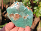 Polished One Side Mtorolite Chrysoprase Slices x 24 From Mutorashanga, Zimbabwe