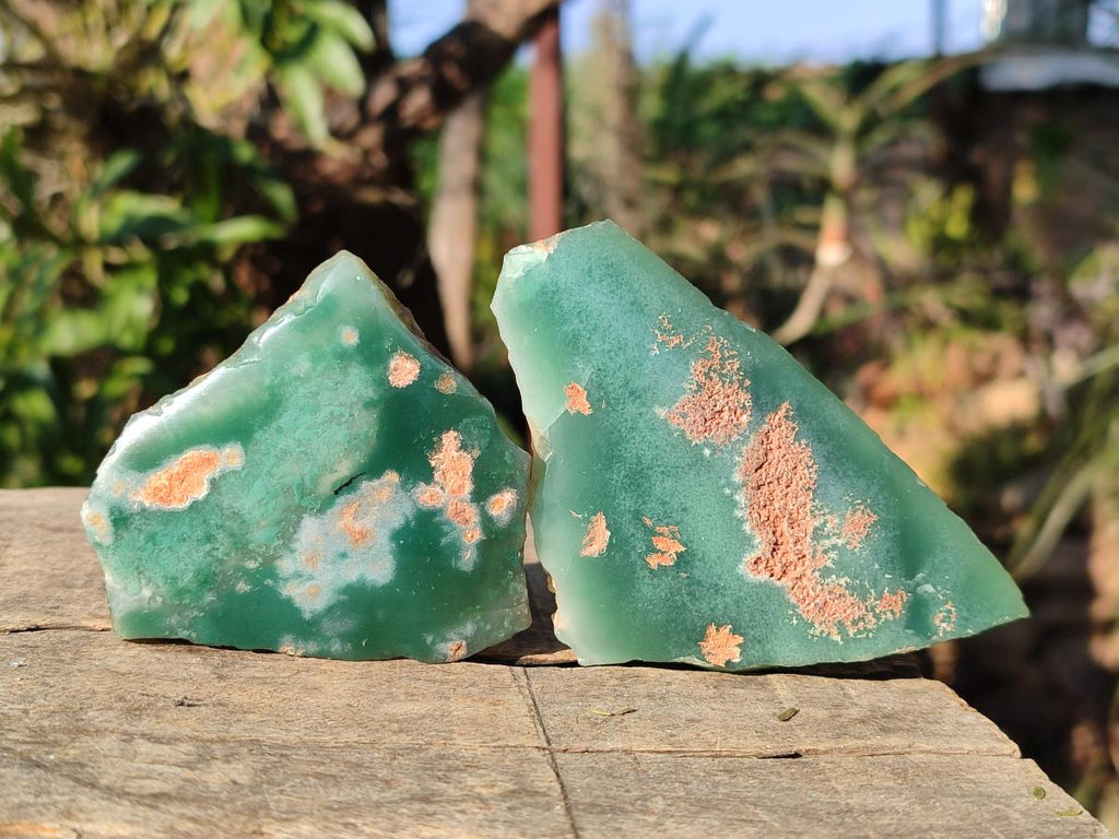 Polished One Side Mtorolite Chrysoprase Slices x 24 From Mutorashanga, Zimbabwe