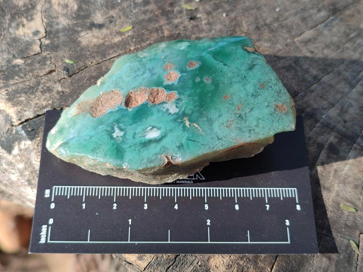 Polished One Side Mtorolite Chrysoprase Slices x 24 From Mutorashanga, Zimbabwe