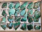 Polished One Side Mtorolite Chrysoprase Slices x 24 From Mutorashanga, Zimbabwe