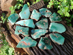 Polished One Side Mtorolite Chrysoprase Slices x 24 From Mutorashanga, Zimbabwe