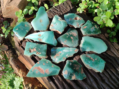 Polished One Side Mtorolite Chrysoprase Slices x 24 From Mutorashanga, Zimbabwe - Toprock Gemstones and Minerals 