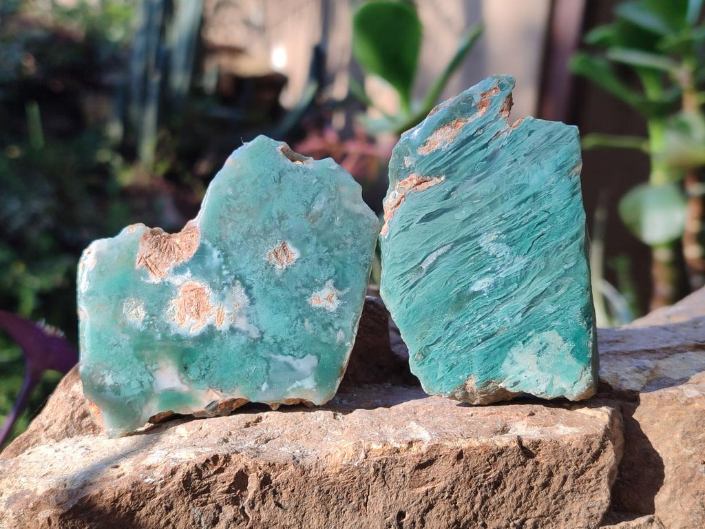Polished One Side Mtorolite Chrysoprase Slices x 24 From Mutorashanga, Zimbabwe