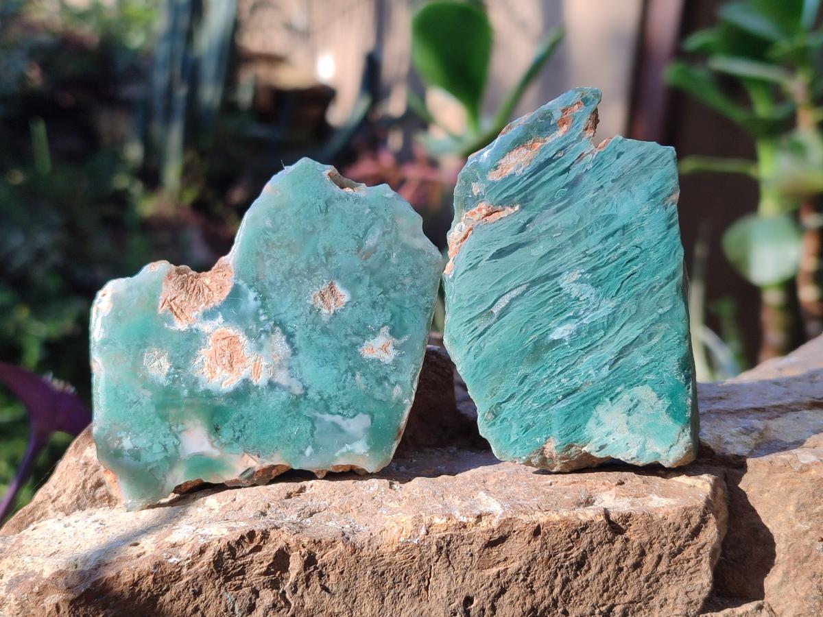 Polished One Side Mtorolite Chrysoprase Slices x 24 From Mutorashanga, Zimbabwe