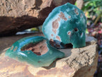 Polished One Side Mtorolite Chrysoprase Slices x 24 From Mutorashanga, Zimbabwe