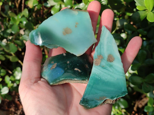 Polished One Side Mtorolite Chrysoprase Slices x 24 From Mutorashanga, Zimbabwe - Toprock Gemstones and Minerals 
