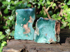Polished One Side Mtorolite Chrysoprase Slices x 24 From Mutorashanga, Zimbabwe