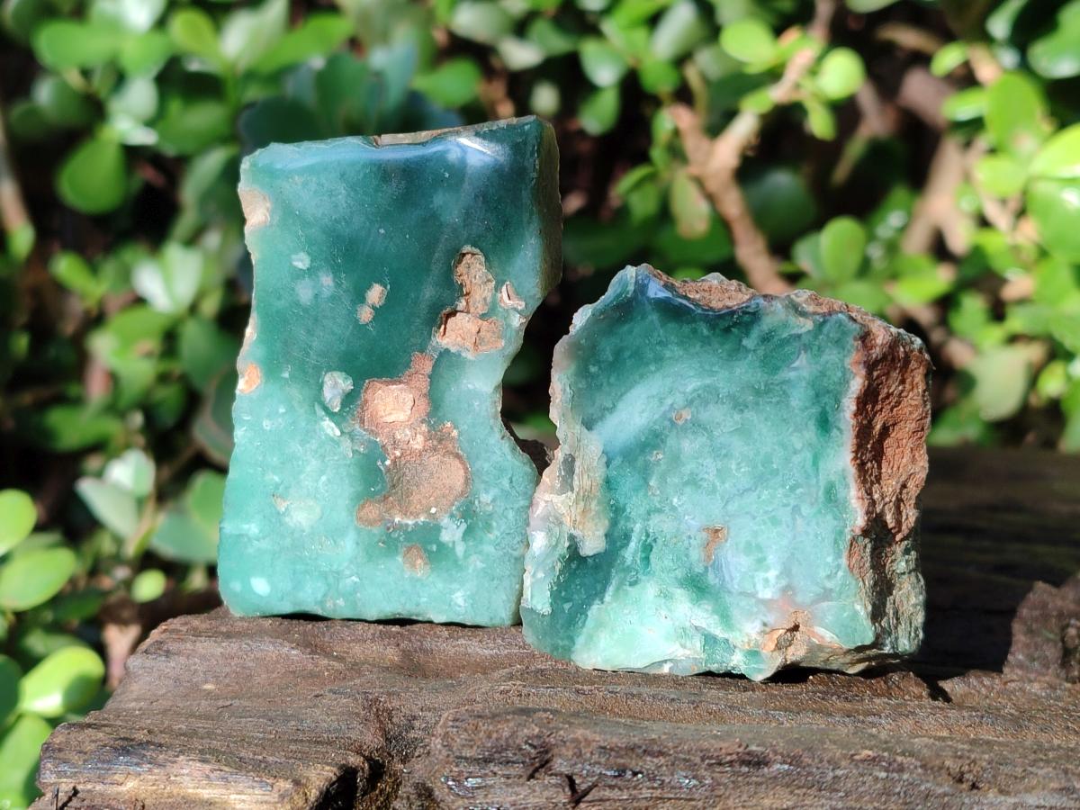 Polished One Side Mtorolite Chrysoprase Slices x 24 From Mutorashanga, Zimbabwe