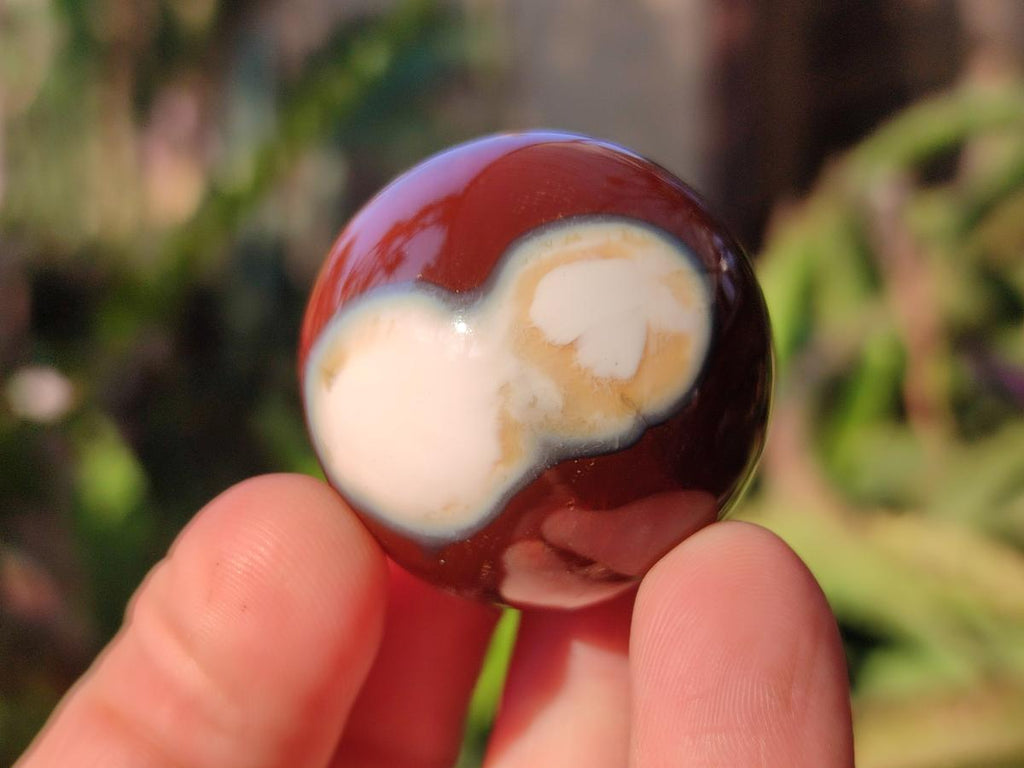 Polished Carnelian Agate Gemstone Spheres x 24 From Madagascar