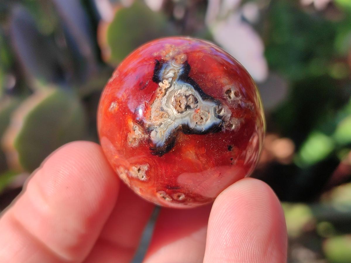Polished Carnelian Agate Gemstone Spheres x 24 From Madagascar
