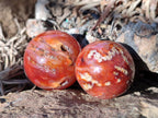 Polished Carnelian Agate Gemstone Spheres x 24 From Madagascar