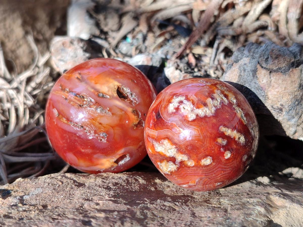 Polished Carnelian Agate Gemstone Spheres x 24 From Madagascar