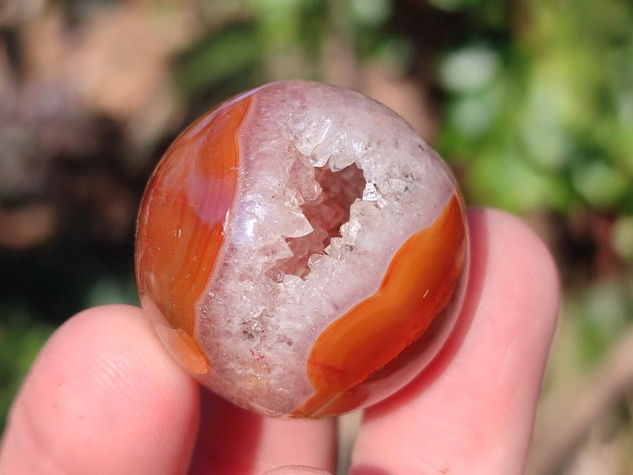 Polished Carnelian Agate Gemstone Spheres x 24 From Madagascar
