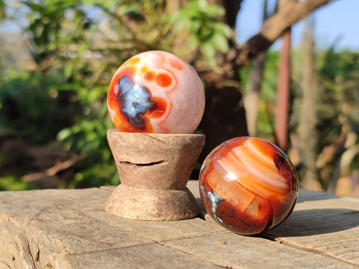 Polished Carnelian Agate Gemstone Spheres x 24 From Madagascar