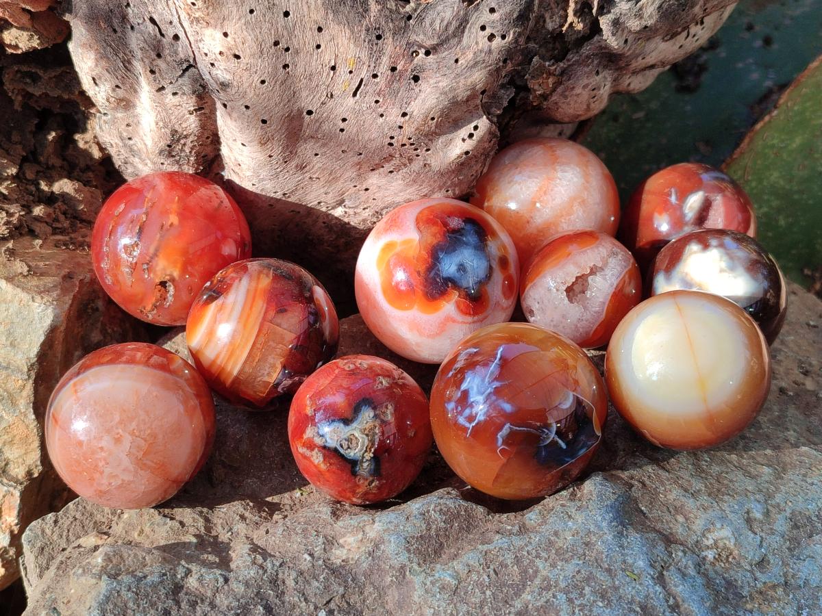 Polished Carnelian Agate Gemstone Spheres x 24 From Madagascar