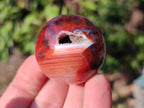 Polished Carnelian Agate Gemstone Spheres x 24 From Madagascar