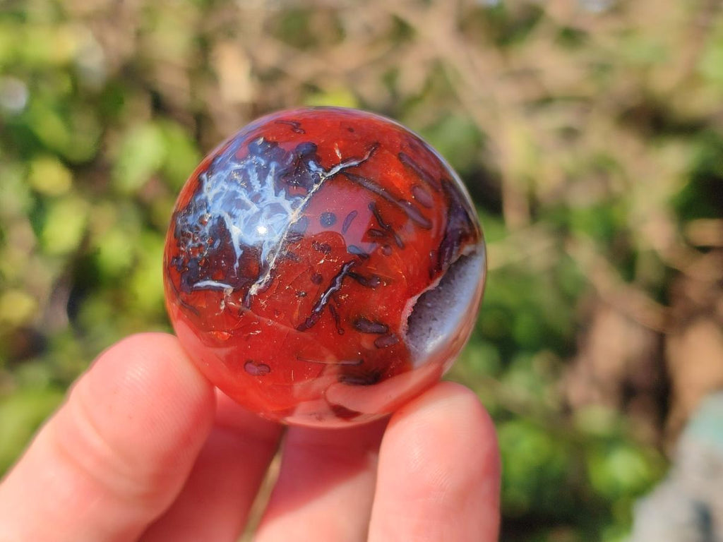 Polished Carnelian Agate Gemstone Spheres x 24 From Madagascar