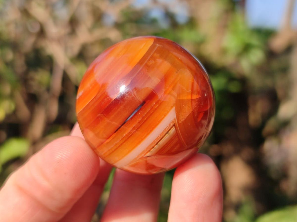 Polished Carnelian Agate Gemstone Spheres x 24 From Madagascar