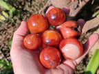 Polished Carnelian Agate Gemstone Spheres x 24 From Madagascar