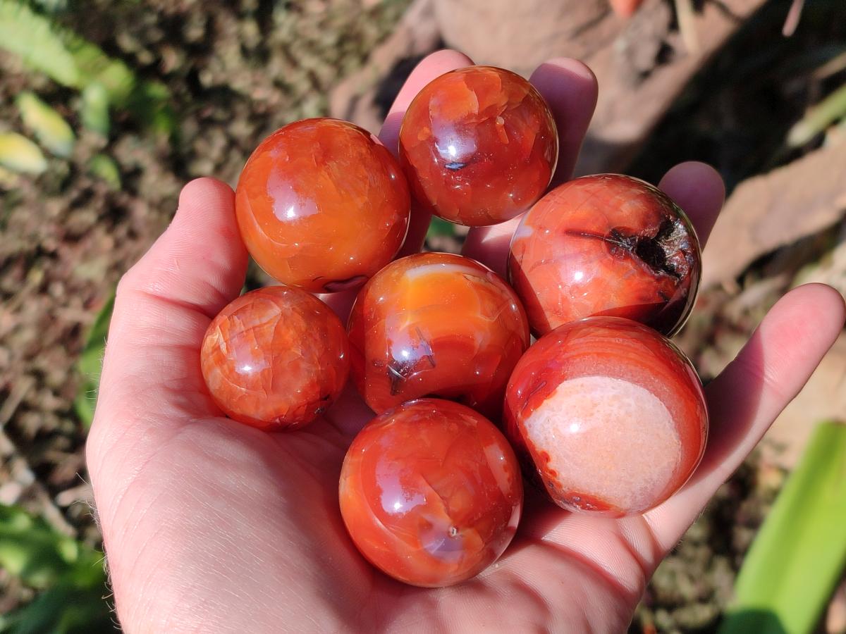 Polished Carnelian Agate Gemstone Spheres x 24 From Madagascar