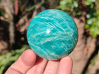 Polished Amazonite Spheres x 6 From Madagascar