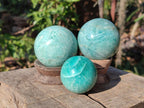Polished Amazonite Spheres x 6 From Madagascar