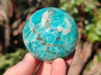 Polished Amazonite Spheres x 6 From Madagascar