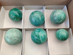 Polished Amazonite Spheres x 6 From Madagascar