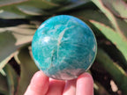 Polished Amazonite Spheres x 6 From Madagascar
