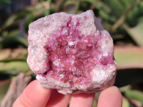 Natural Spherocobaltite Specimens x 6 From Musonoi Mine, Congo - Toprock Gemstones and Minerals 