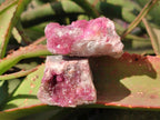 Natural Spherocobaltite Specimens x 6 From Musonoi Mine, Congo
