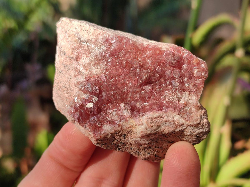 Natural Spherocobaltite Specimens x 6 From Musonoi Mine, Congo