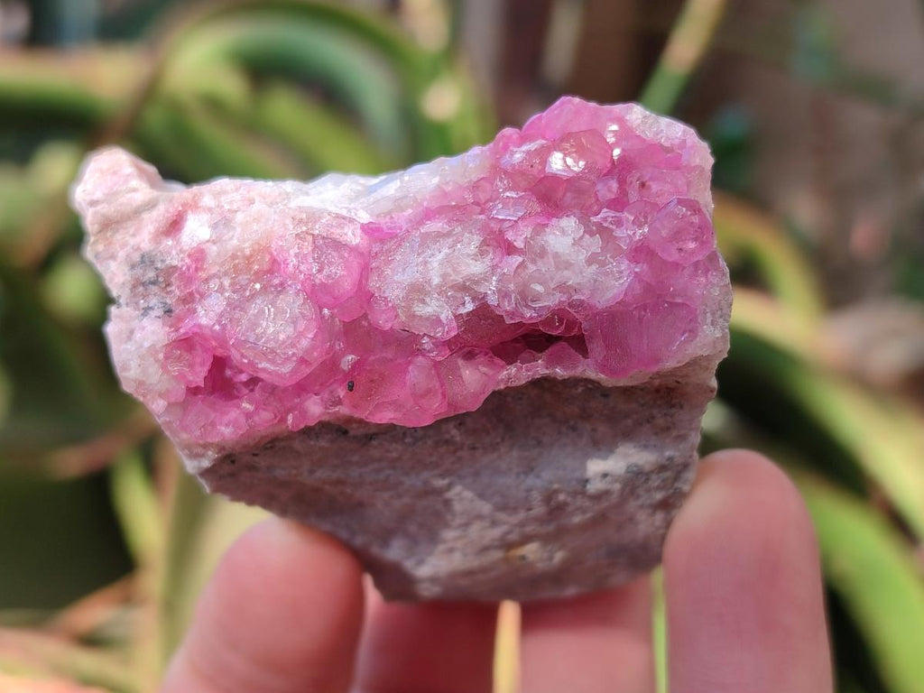 Natural Spherocobaltite Specimens x 6 From Musonoi Mine, Congo