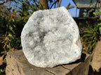 Natural Blue Celestite Geode Specimen x 1 From Sakoany, Madagascar