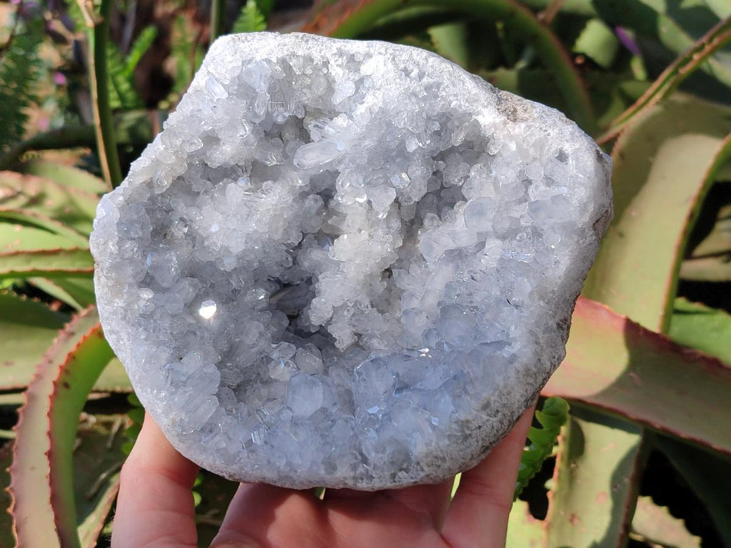 Natural Blue Celestite Geode Specimen x 1 From Sakoany, Madagascar