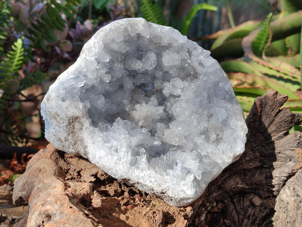 Natural Blue Celestite Geode Specimen x 1 From Sakoany, Madagascar