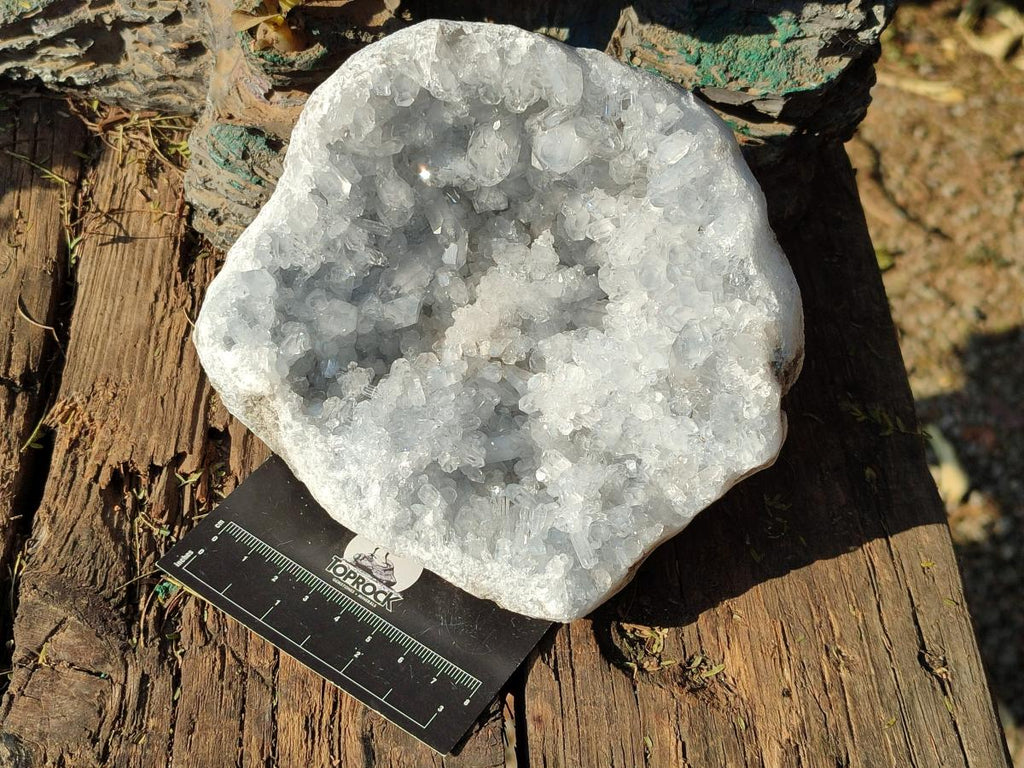 Natural Blue Celestite Geode Specimen x 1 From Sakoany, Madagascar