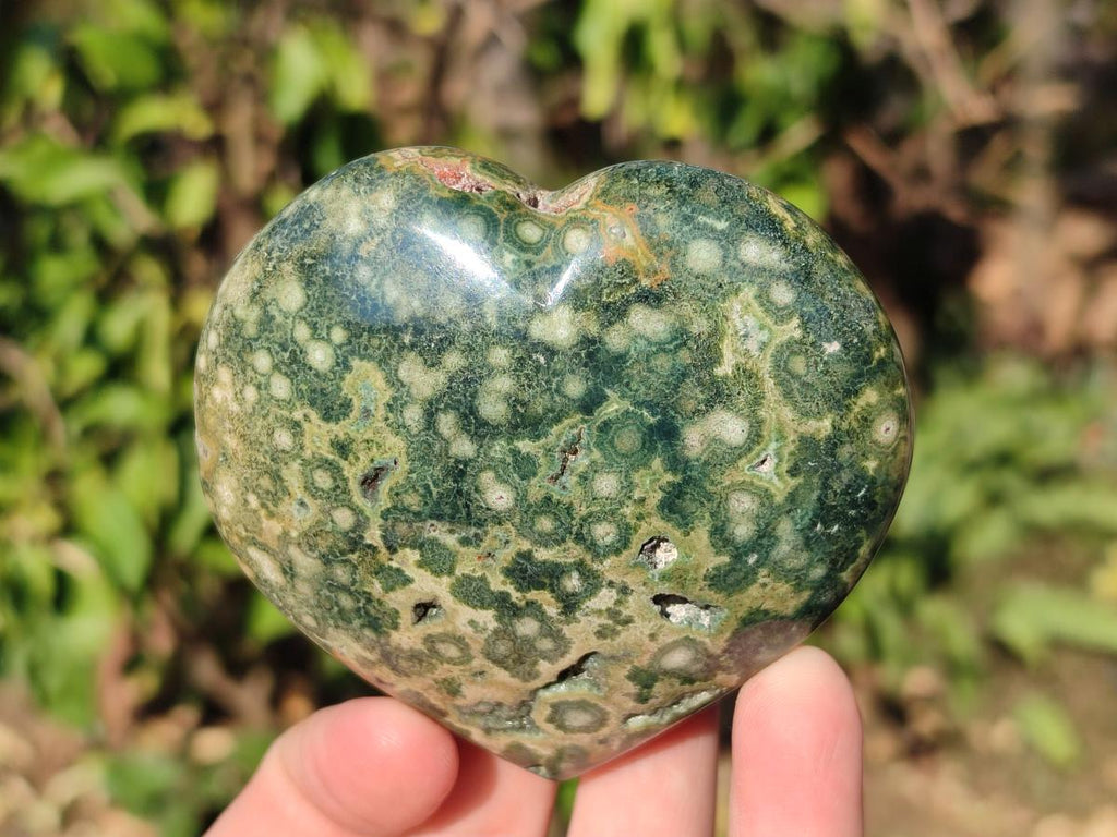 Polished Large Orbicular Ocean Jasper Hearts x 4 From Northwest Coast, Madagascar