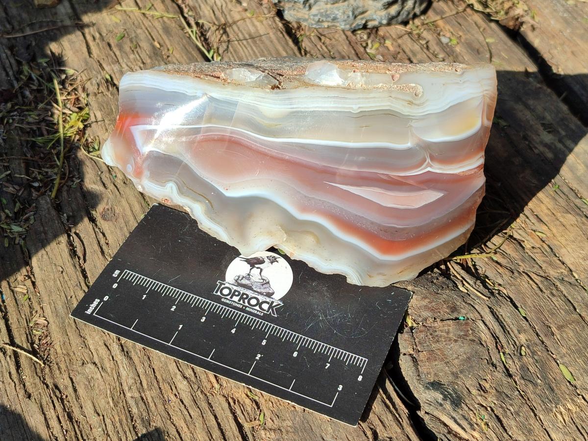 Polished One Side Red Shashe River Agate Nodules x 6 From Shashe River, Zimbabwe