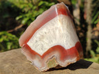 Polished One Side Red Shashe River Agate Nodules x 6 From Shashe River, Zimbabwe