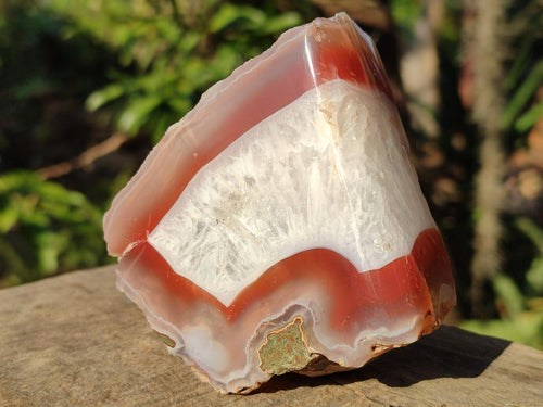 Polished One Side Red Shashe River Agate Nodules x 6 From Shashe River, Zimbabwe