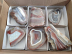 Polished One Side Red Shashe River Agate Nodules x 6 From Shashe River, Zimbabwe