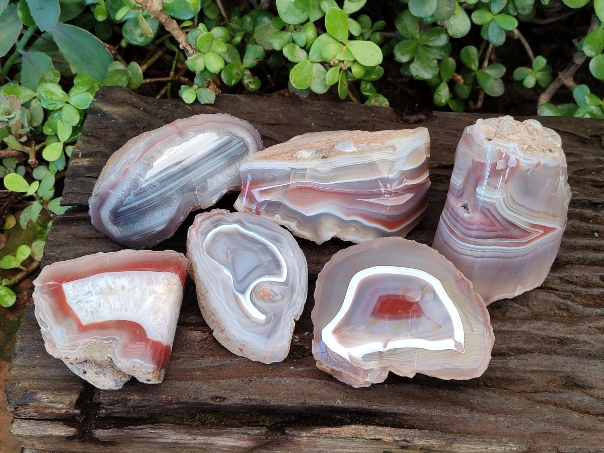 Polished One Side Red Shashe River Agate Nodules x 6 From Shashe River, Zimbabwe