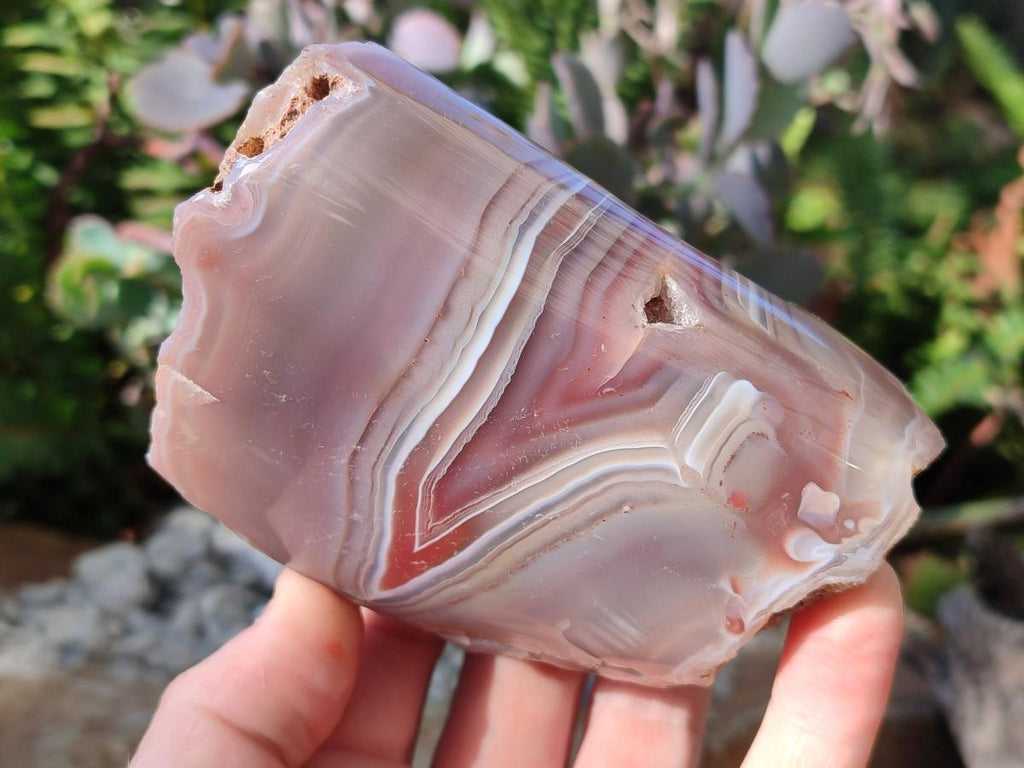 Polished One Side Red Shashe River Agate Nodules x 6 From Shashe River, Zimbabwe