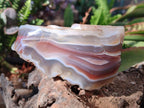 Polished One Side Red Shashe River Agate Nodules x 6 From Shashe River, Zimbabwe
