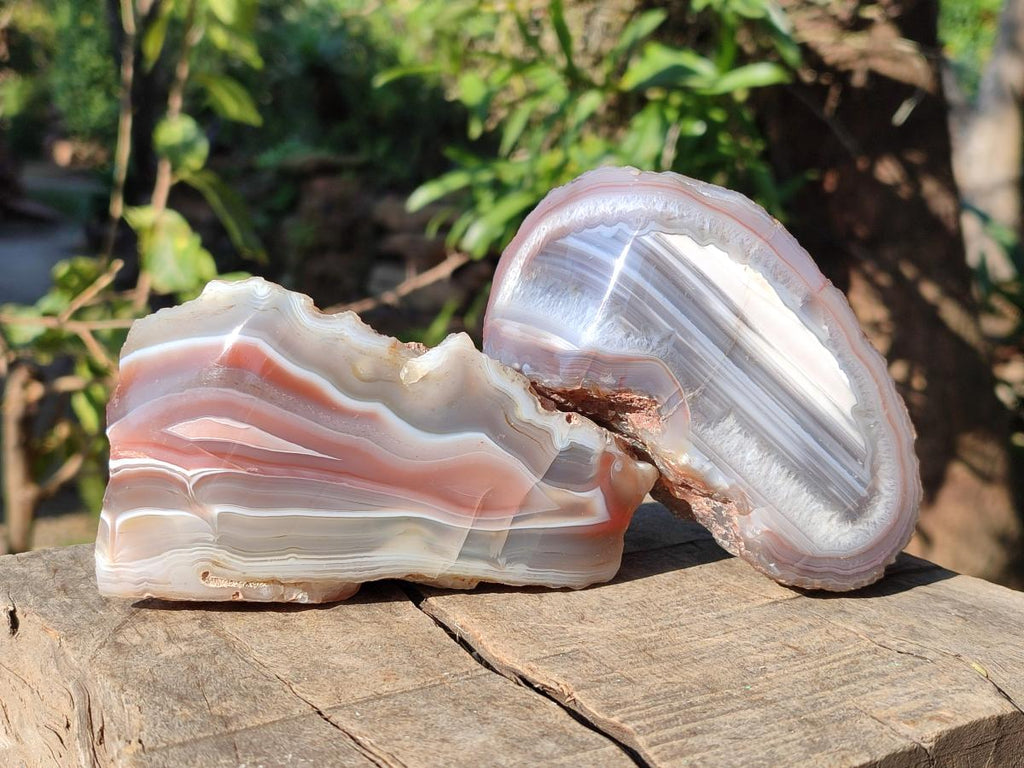 Polished One Side Red Shashe River Agate Nodules x 6 From Shashe River, Zimbabwe