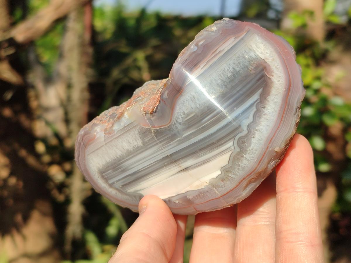 Polished One Side Red Shashe River Agate Nodules x 6 From Shashe River, Zimbabwe