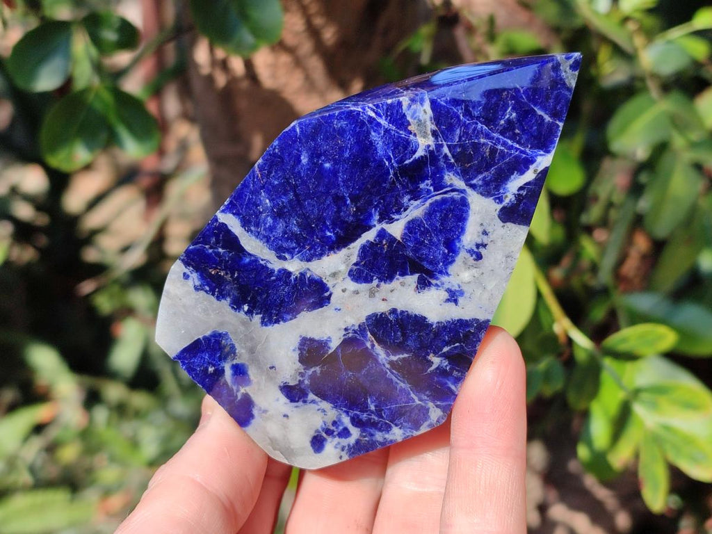 Polished Sodalite Crystals with Silver Hematite x 6 From Kunene River, Namibia